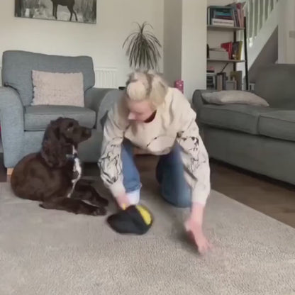FurZap™ – Electrostatic Pet Hair Remover Glove